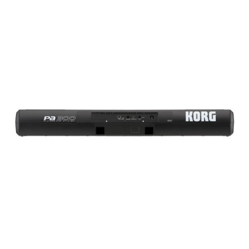 Korg PA300 61-Key Professional Arranger Keyboard Bundle with Accessory Bundle