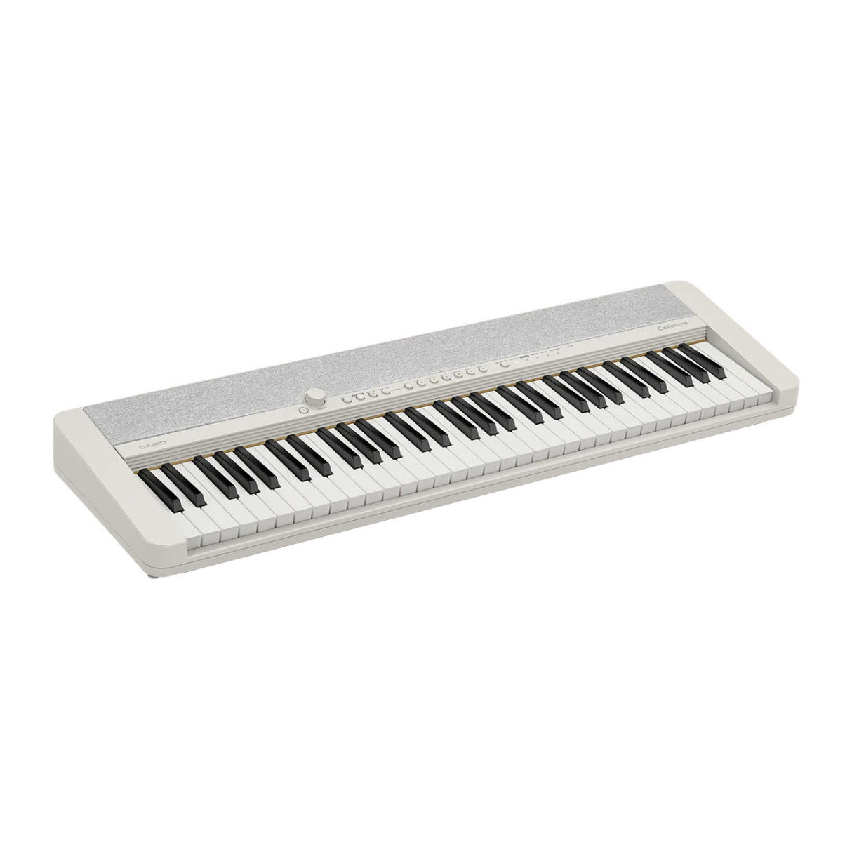 Casio Casiotone CT-S1 61 Key Portable Piano Bundle with Stand and Accessories