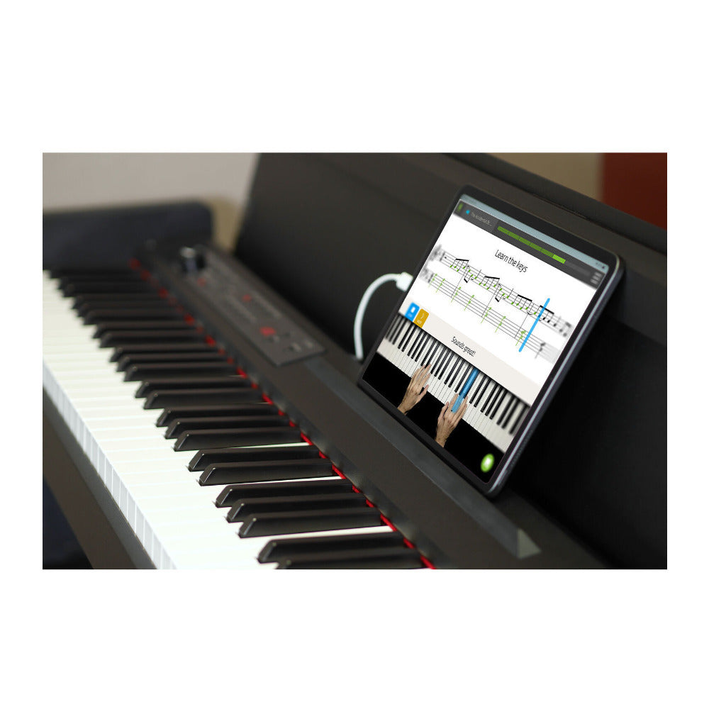 Korg LP-380 U 88-Key Digital Home Piano (Black)