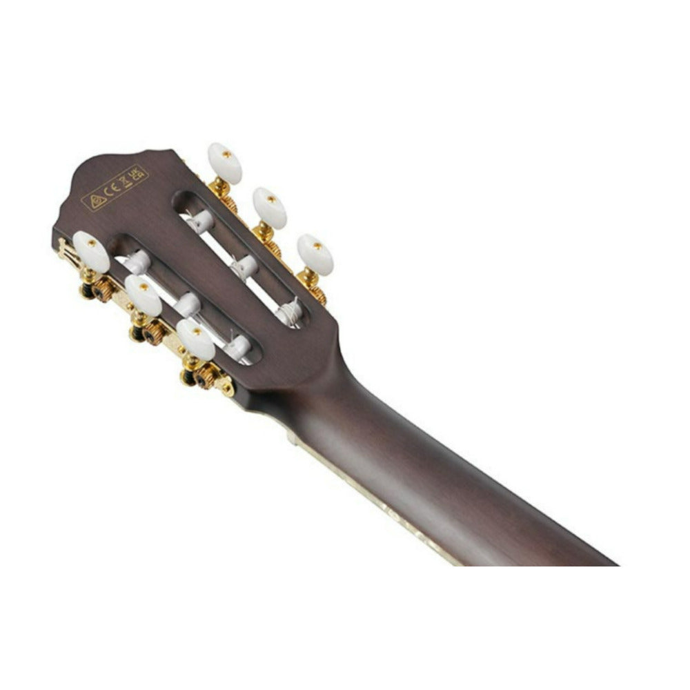 Ibanez TOD10N Tim Henson Signature 6-String Acoustic Guitar