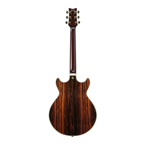 Ibanez AM Artcore Expressionist 6 String Electric Guitar Natural