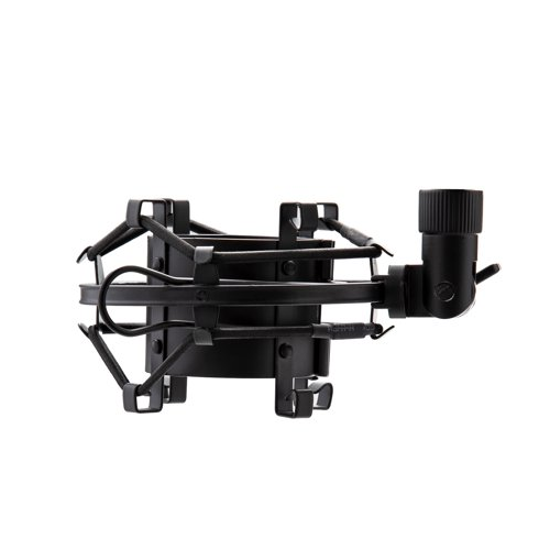 AKG P120 High-Performance General Purpose Recording Microphone Bundle