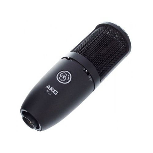 AKG P120 High-Performance General Purpose Recording Microphone Bundle