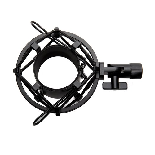 AKG P120 High-Performance General Purpose Recording Microphone Bundle