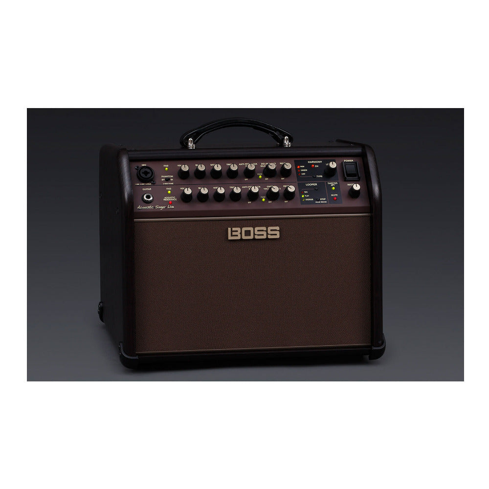 BOSS Acoustic Singer Live 60-Watt Bi-Amp Amplifier with Instrument Cables Bundle