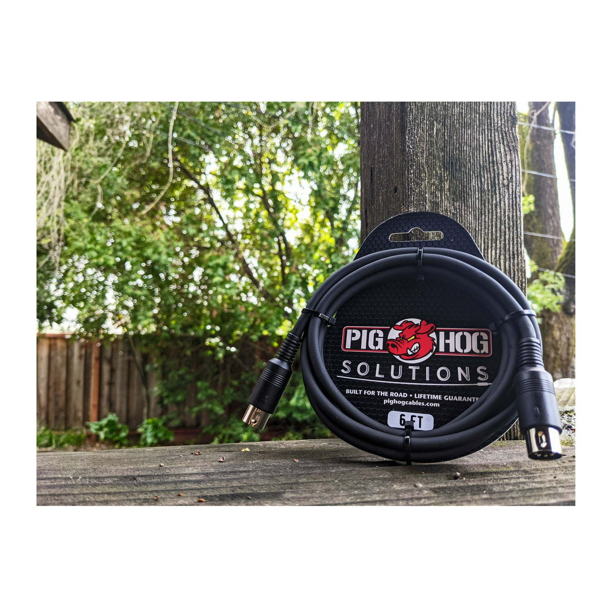 Roland JUPITER-XM 37-Key Keyboard Synthesizer with XLR Cables and MIDI Cables
