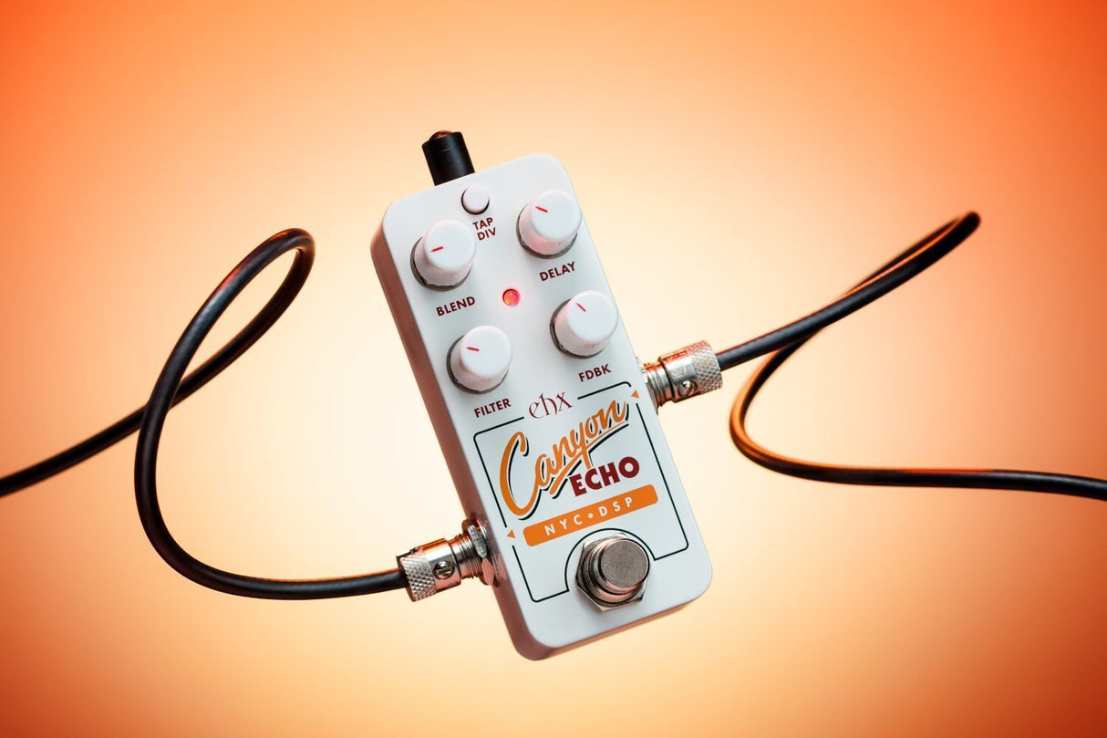 Electro Harmonix Pico Canyon Echo Delay Guitar Effects Pedal