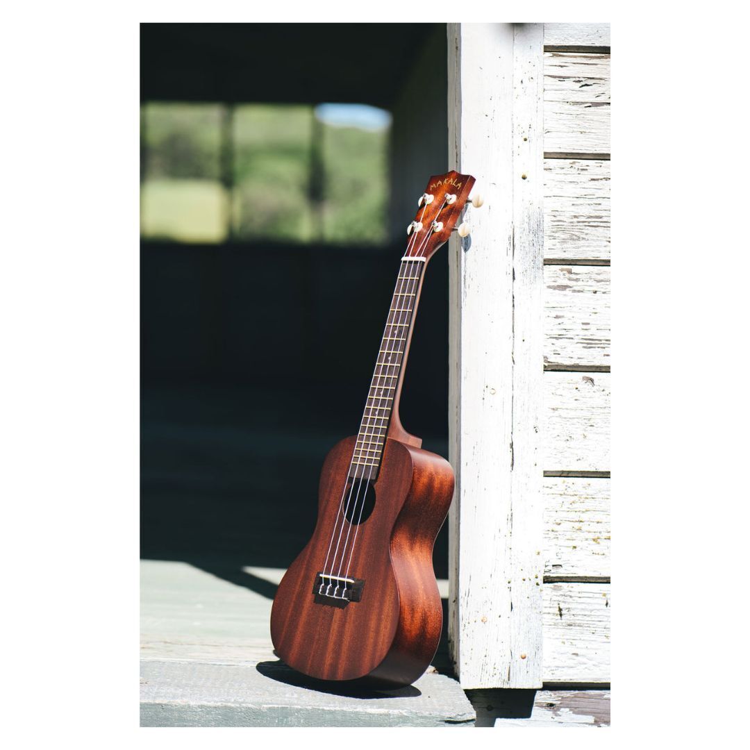 Makala Concert Ukulele Nickel Fret Update