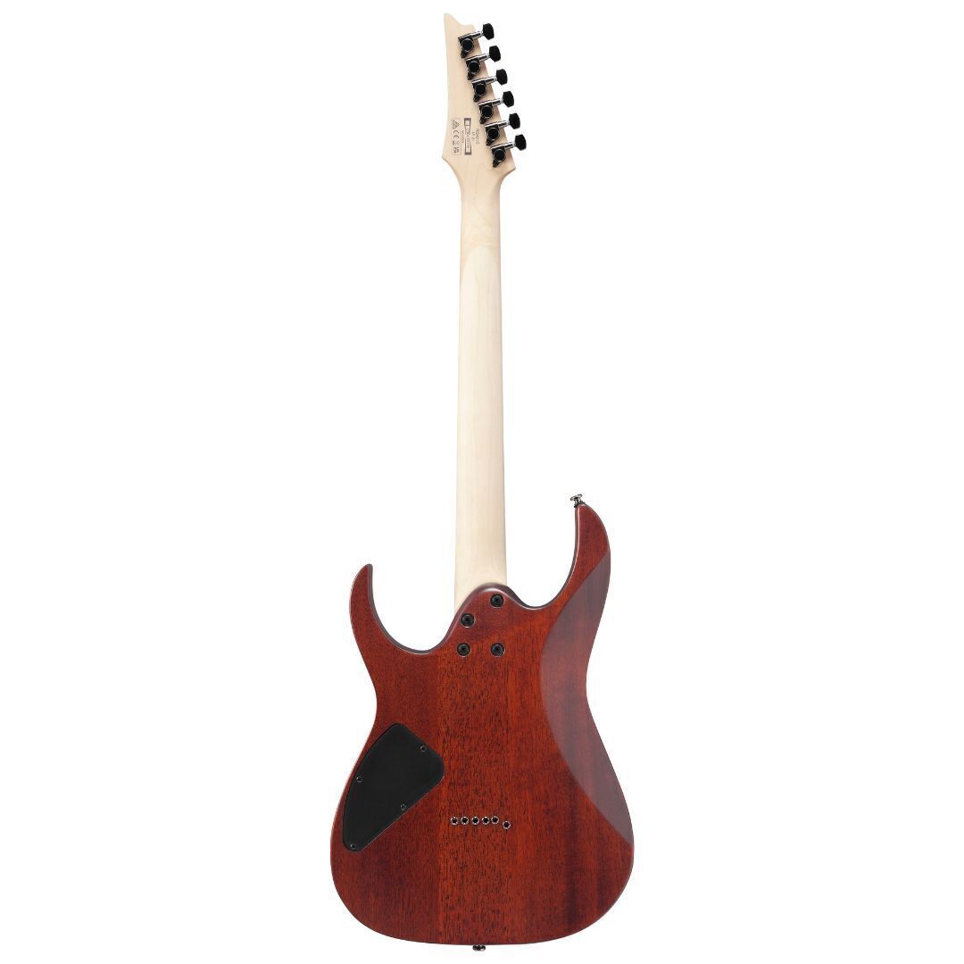 Ibanez RG421SSEM RG Standard 6 String Electric Guitar - Sea Shore Matte