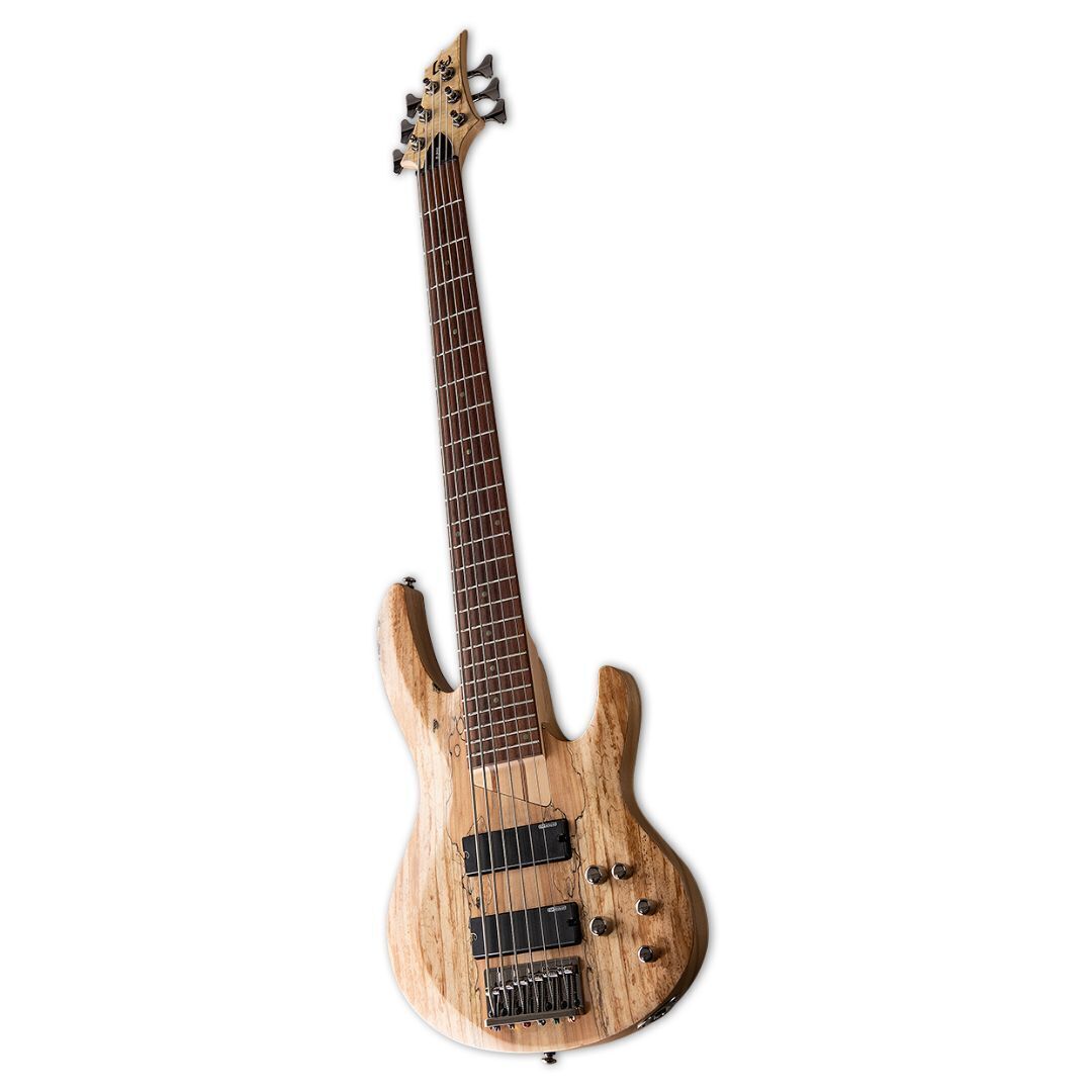 ESP LTD B-206SM Bass Guitar - Natural Satin
