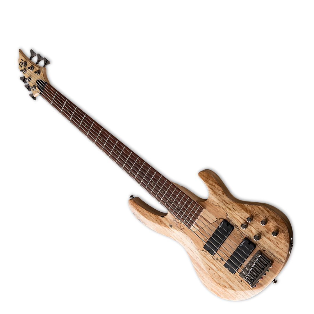 ESP LTD B-206SM Bass Guitar - Natural Satin