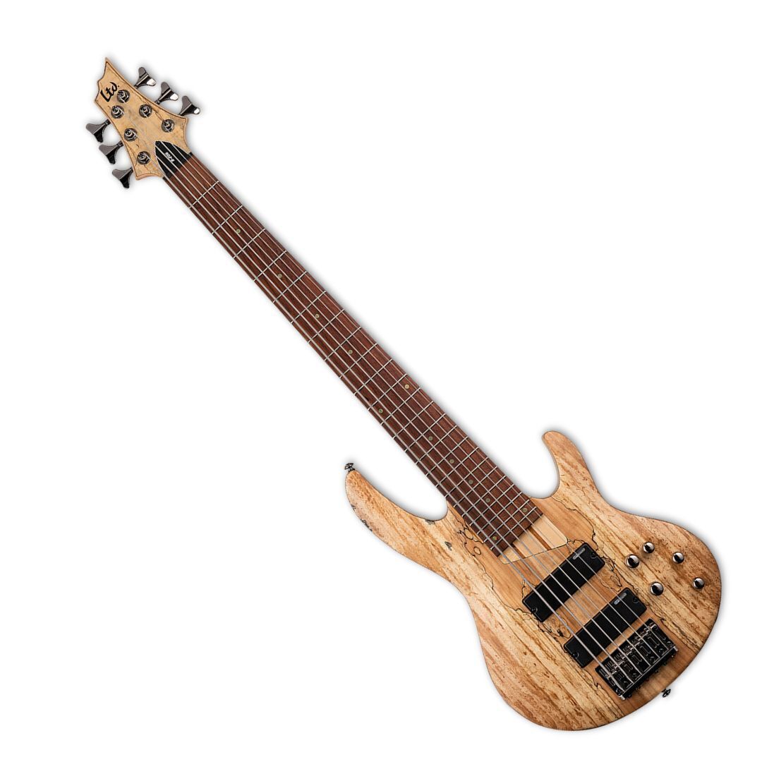 ESP LTD B-206SM Bass Guitar - Natural Satin