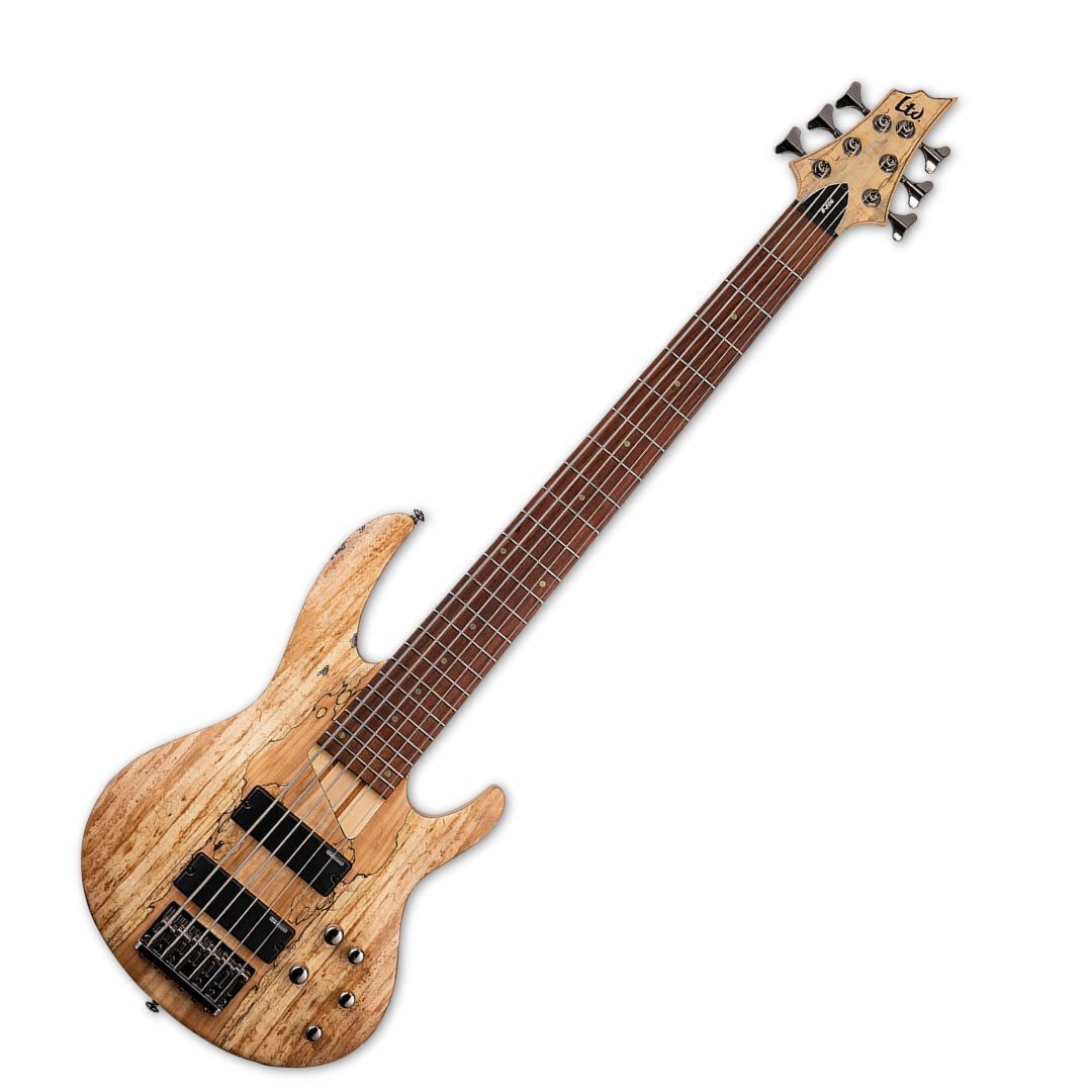 ESP LTD B-206SM Bass Guitar - Natural Satin