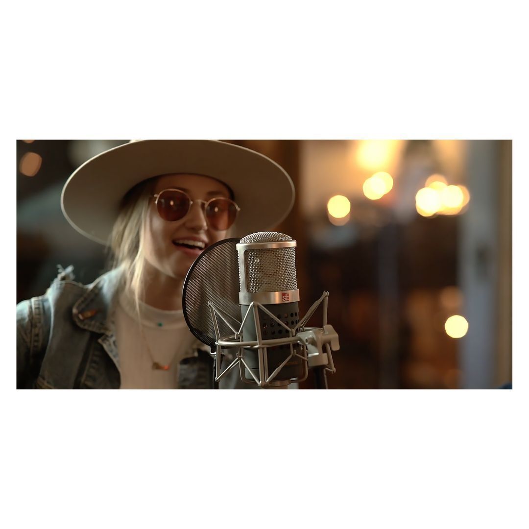 SE GEMINI-II Dual Tube Cardiod Condenser Mic With Shockmount and Case