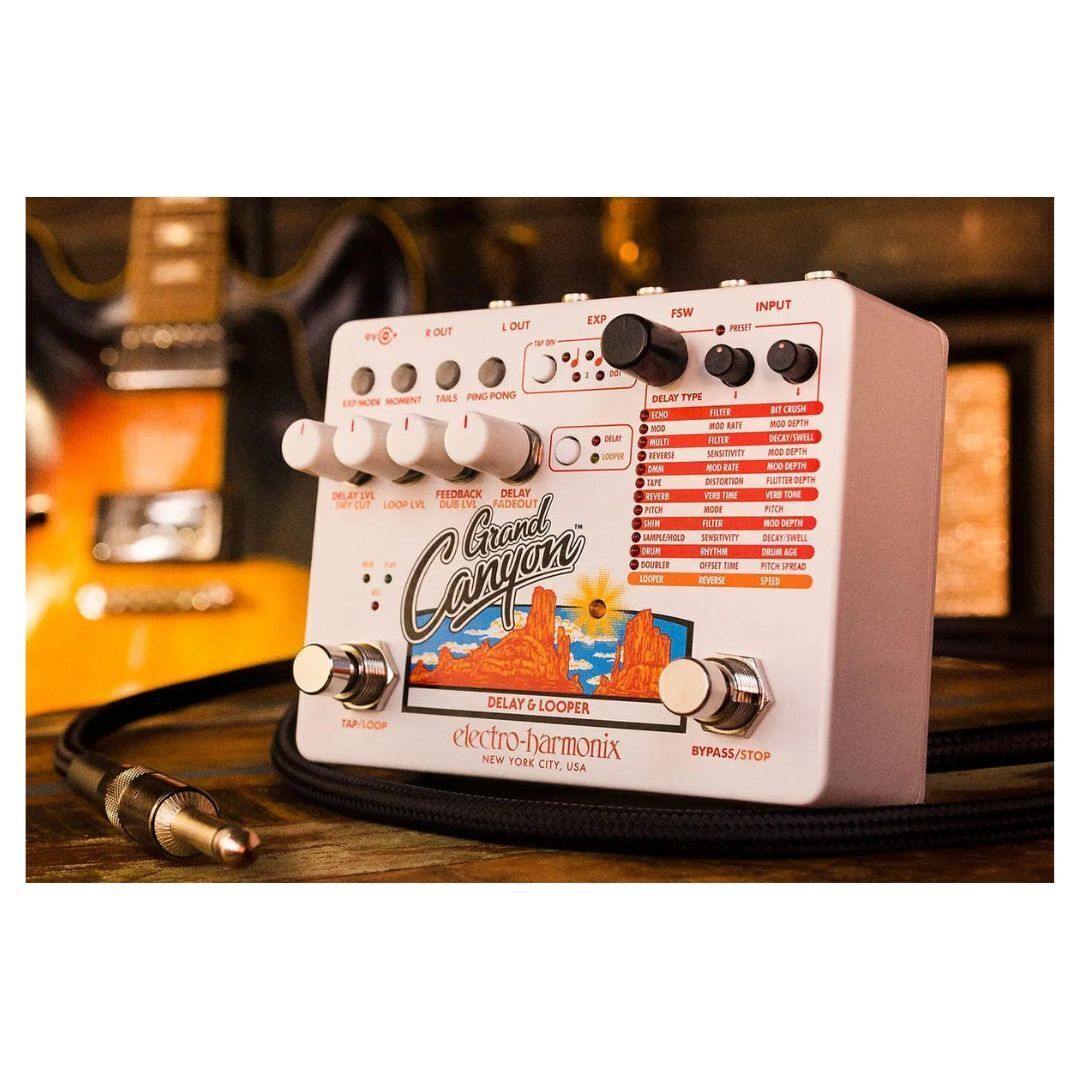 Electro-Harmonix Grand Canyon Delay And Looper Guitar Pedal With Power Supply
