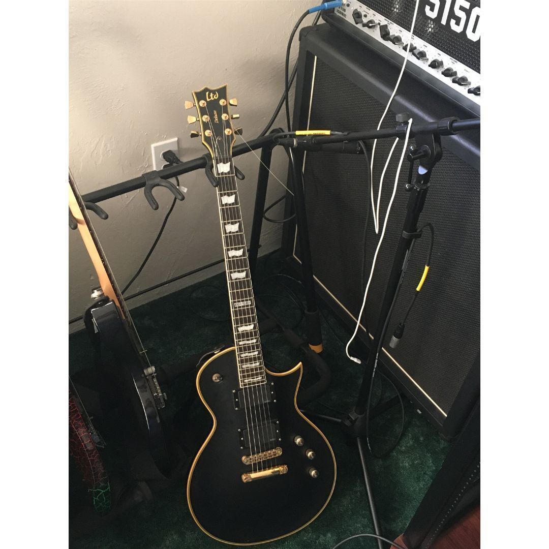 ESP LTD EC-1000 Electric Guitar - Vintage Black (Open Box)