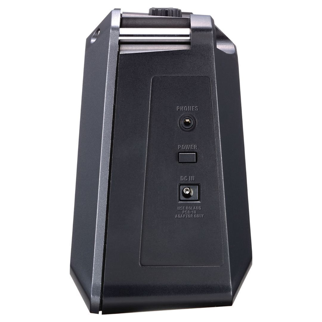 Roland Mobile Cube Battery-Powered Stereo Amplifier