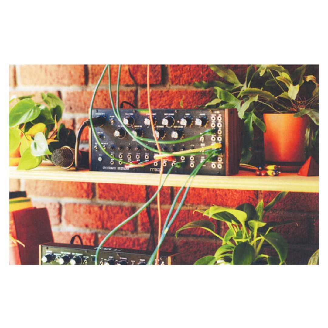 MOOG Spectravox Semi-Modular Analog Spectral Processor