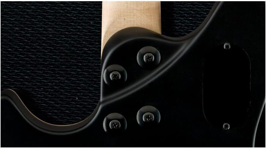 EVH Wolfgang Special 6-String Electric Guitar (Stealth Black) with Case