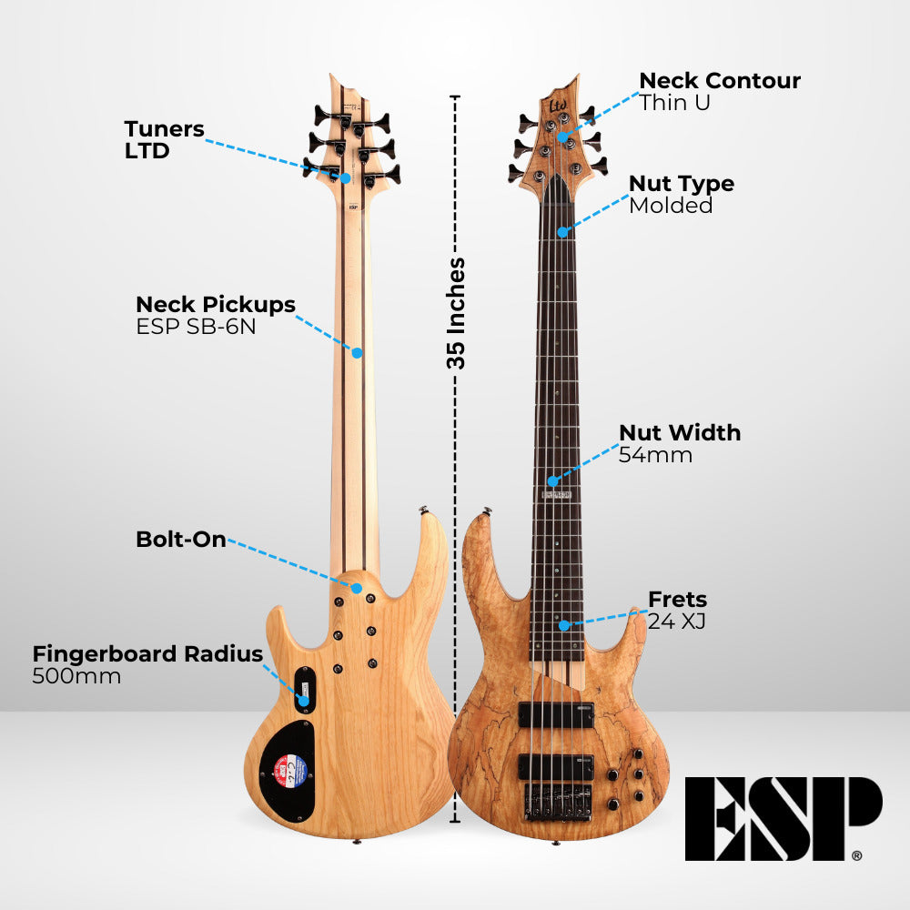 ESP LTD B-206SM Bass Guitar - Natural Satin with Hardshell Case and Stand