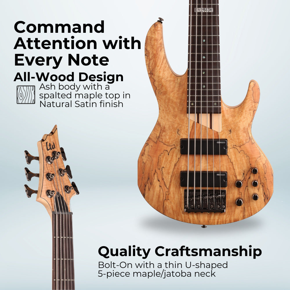 ESP LTD B-206SM Bass Guitar - Natural Satin with Hardshell Case and Stand