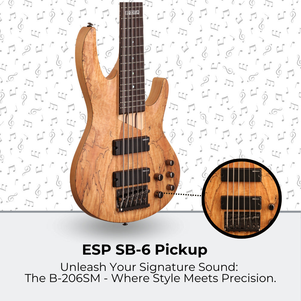 ESP LTD B-206SM Bass Guitar - Natural Satin with Hardshell Case and Stand