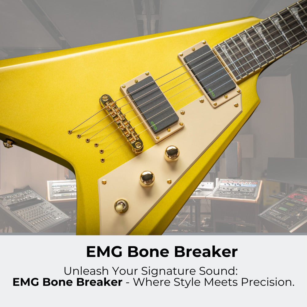 ESP LTD KH-V Kirk Hammett Signature Electric Guitar (Gold) with Accessories