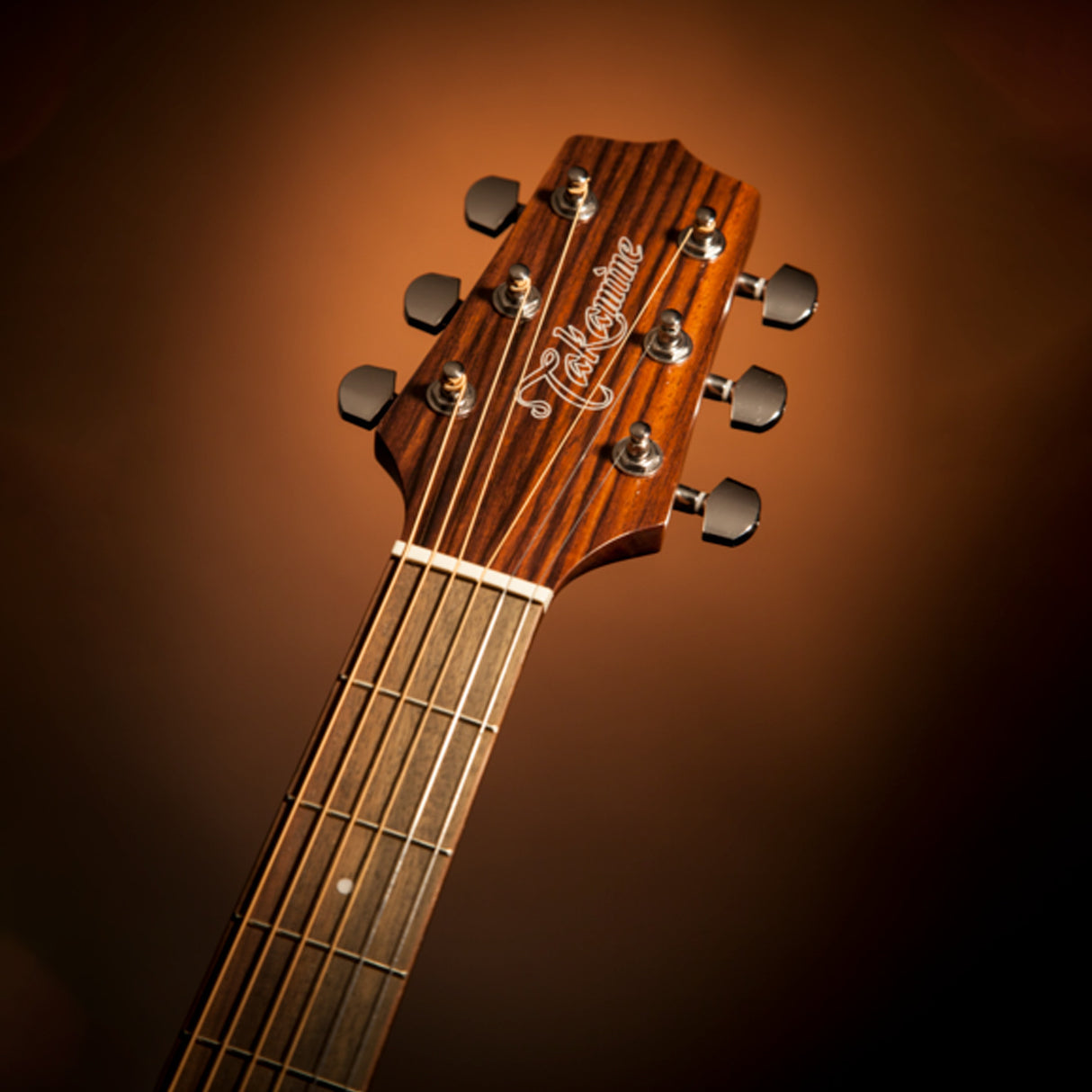 Takamine GN30CE-NAT Nex Cutaway Acoustic-Electric Guitar with stand and tuner