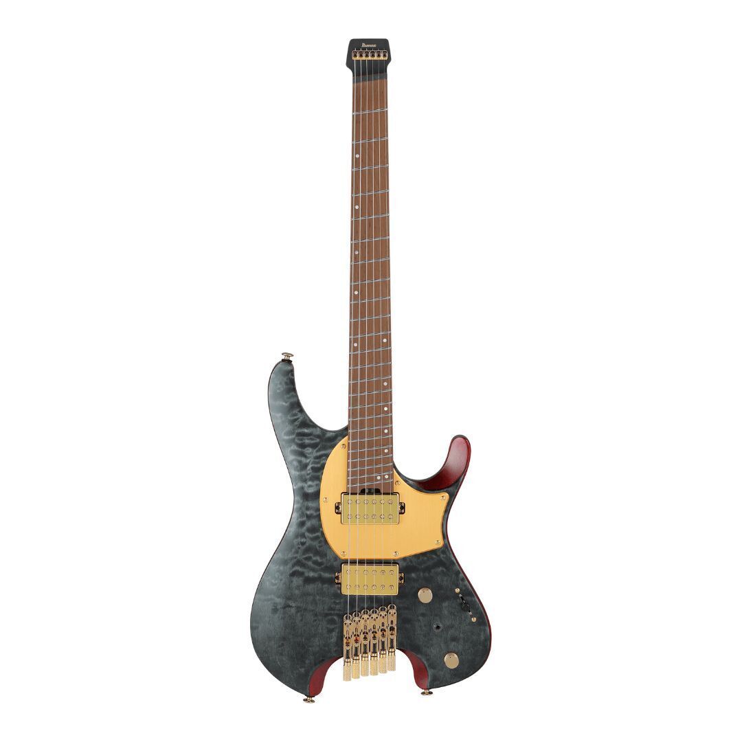 Manuel Gardner Fernandes Ibanez Signature Guitar