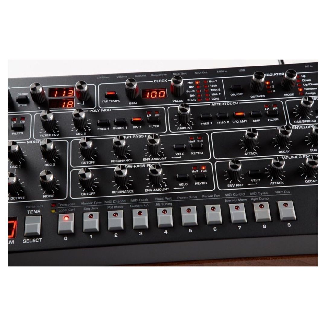 Sequential Prophet-6 Module 6-Voice Polyphonic Analog Synthesizer