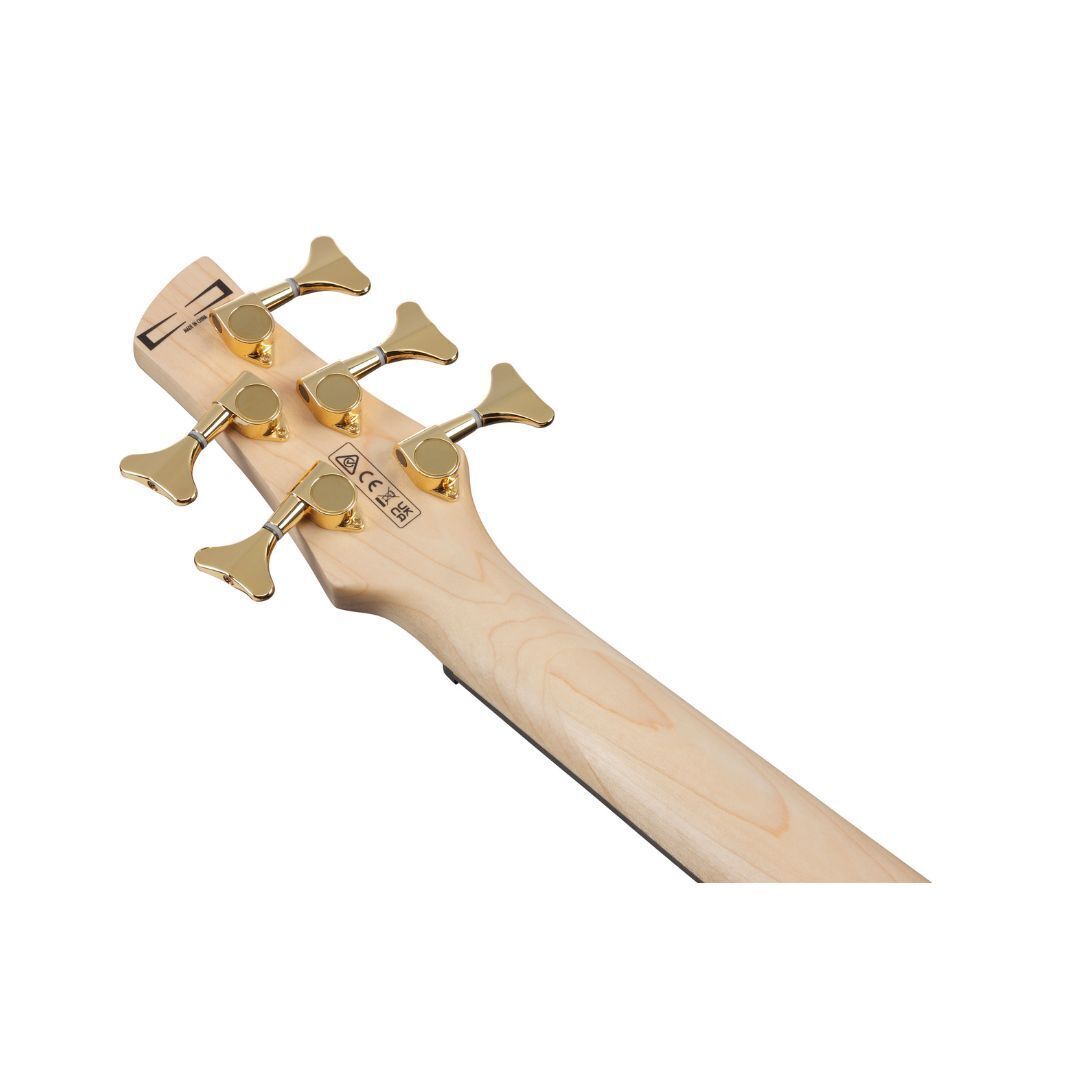 Ibanez Gio SR 5str Electric Bass - Transparent Marine Burst