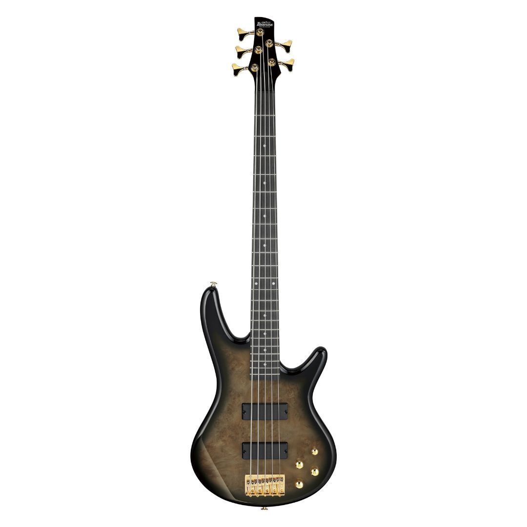 Ibanez Gio SR 5str Electric Bass - Transparent Pale Black Burst