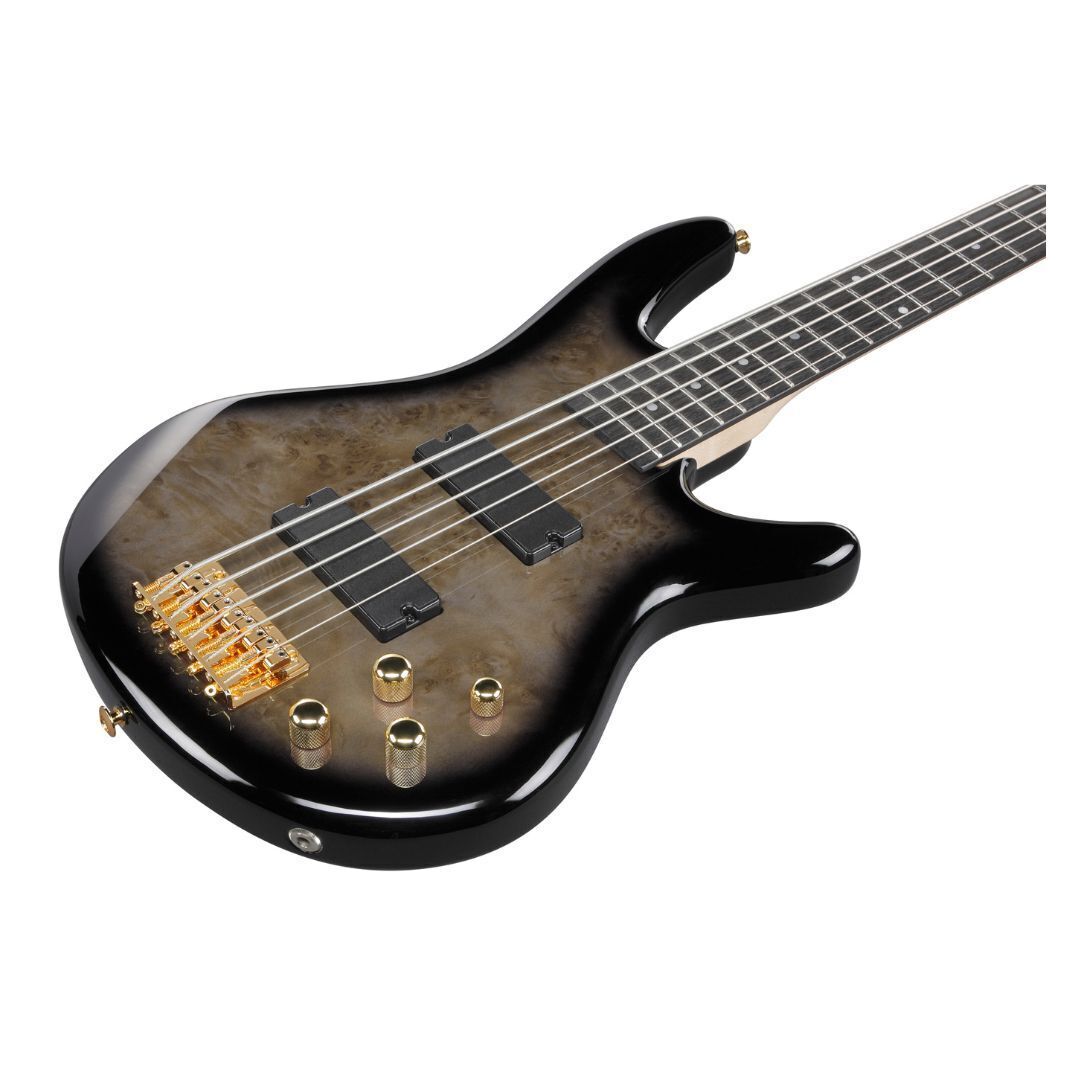 Ibanez Gio SR 5str Electric Bass - Transparent Pale Black Burst