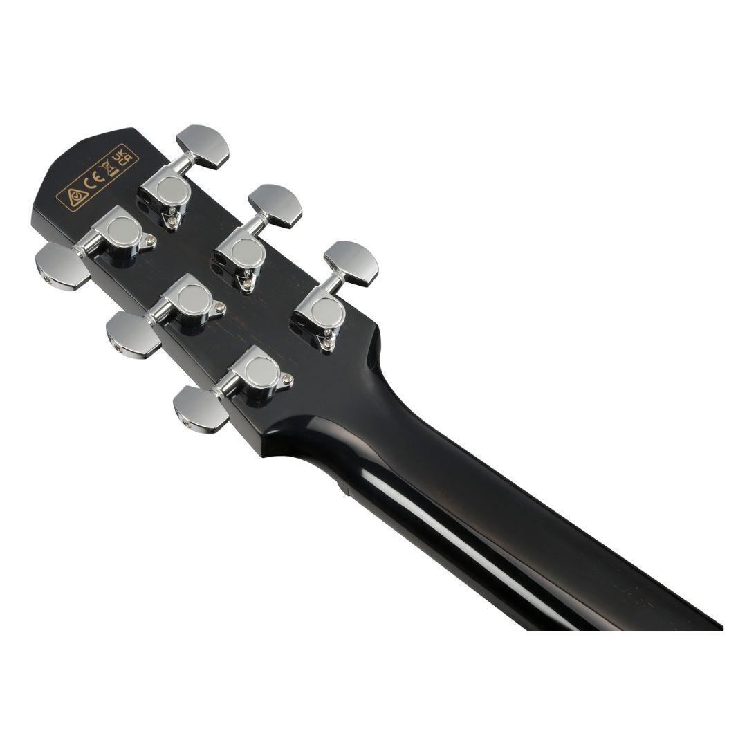 Ibanez AAM340CE Rustic Black High Gloss AE Guitar