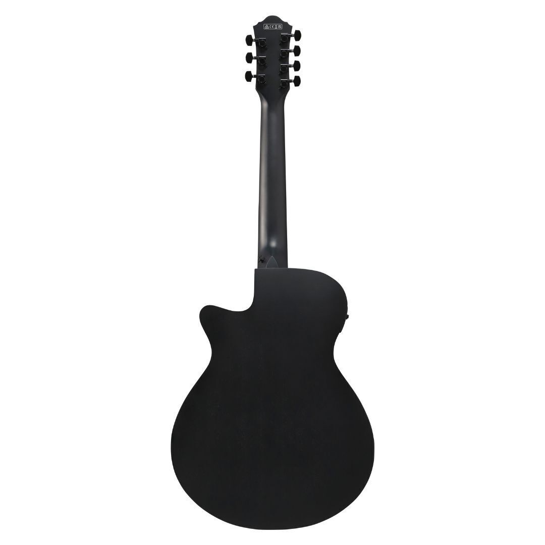 Ibanez AEG721 Black Out AE Guitar