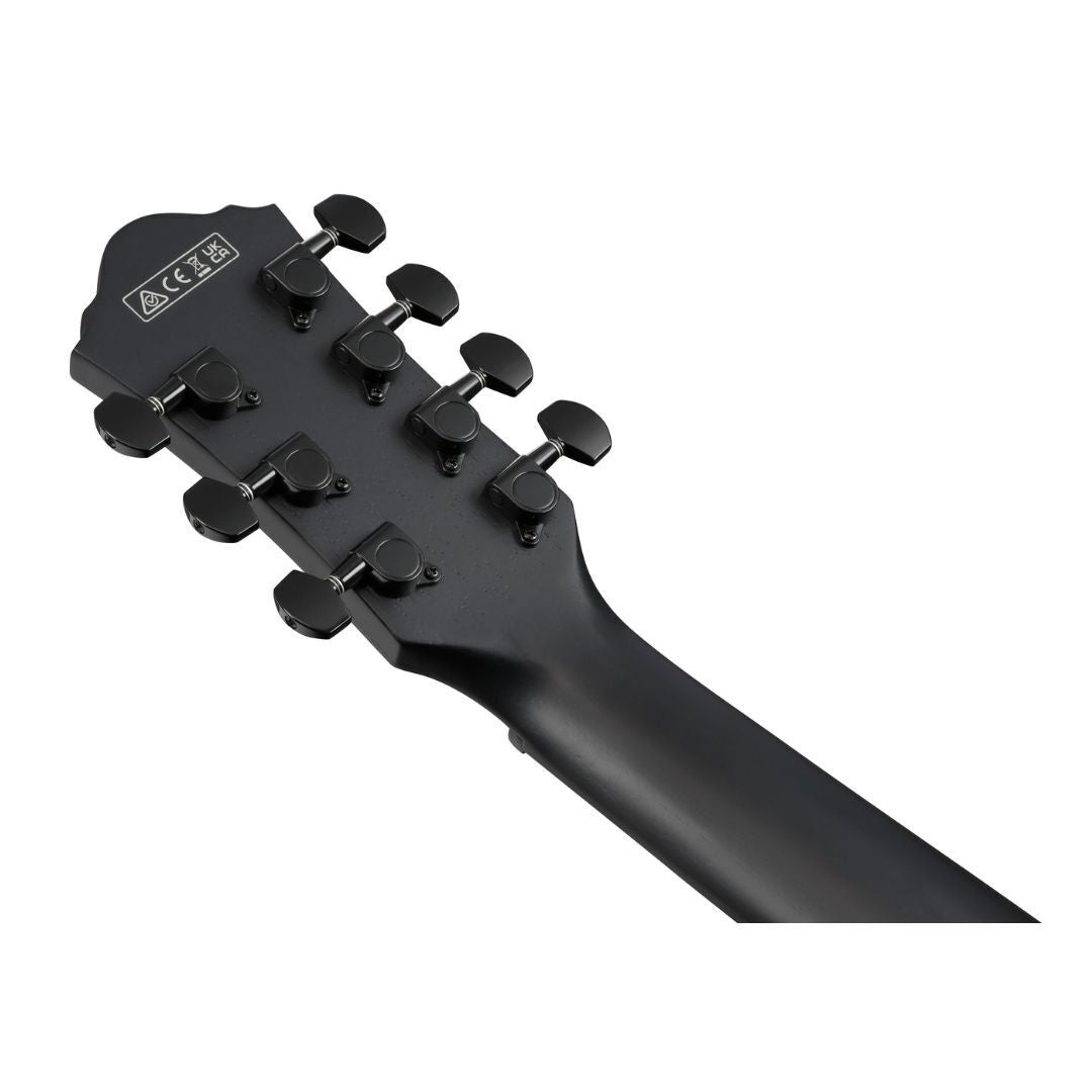 Ibanez AEG721 Black Out AE Guitar
