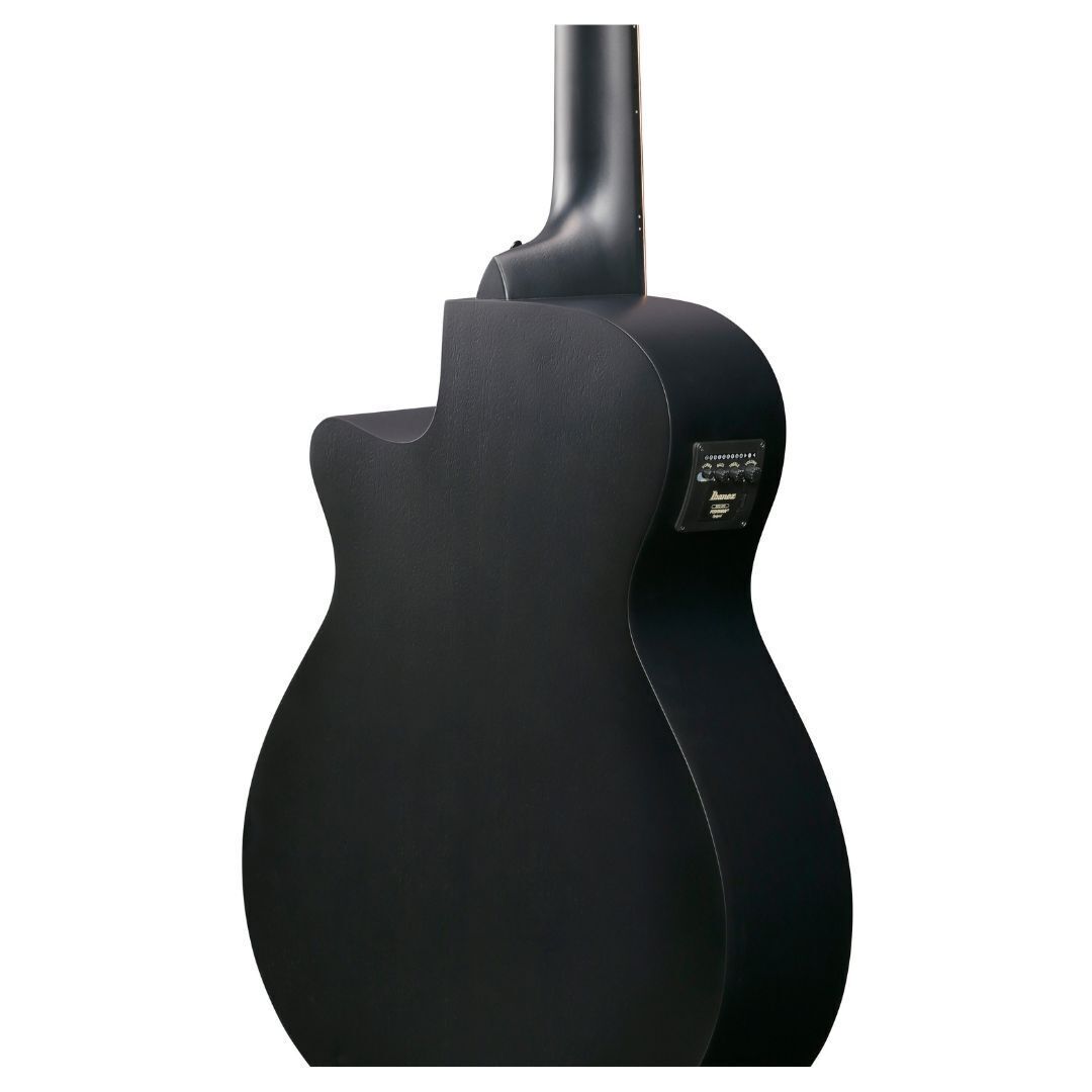 Ibanez AEG721 Black Out AE Guitar