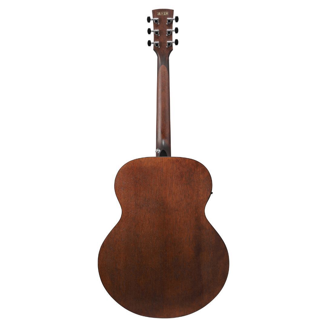Ibanez AJ54E Open Pore Natural AE Guitar