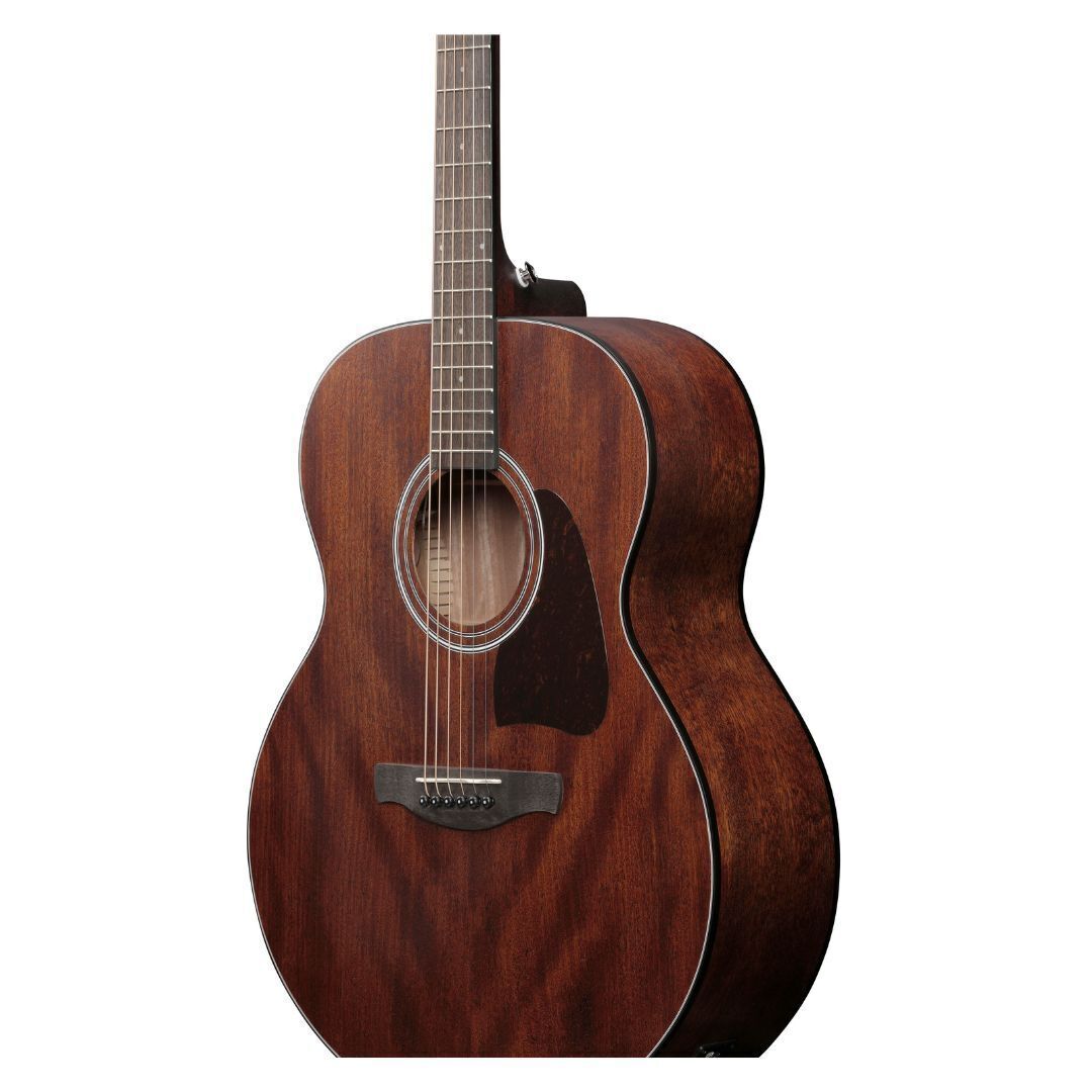Ibanez AJ54E Open Pore Natural AE Guitar
