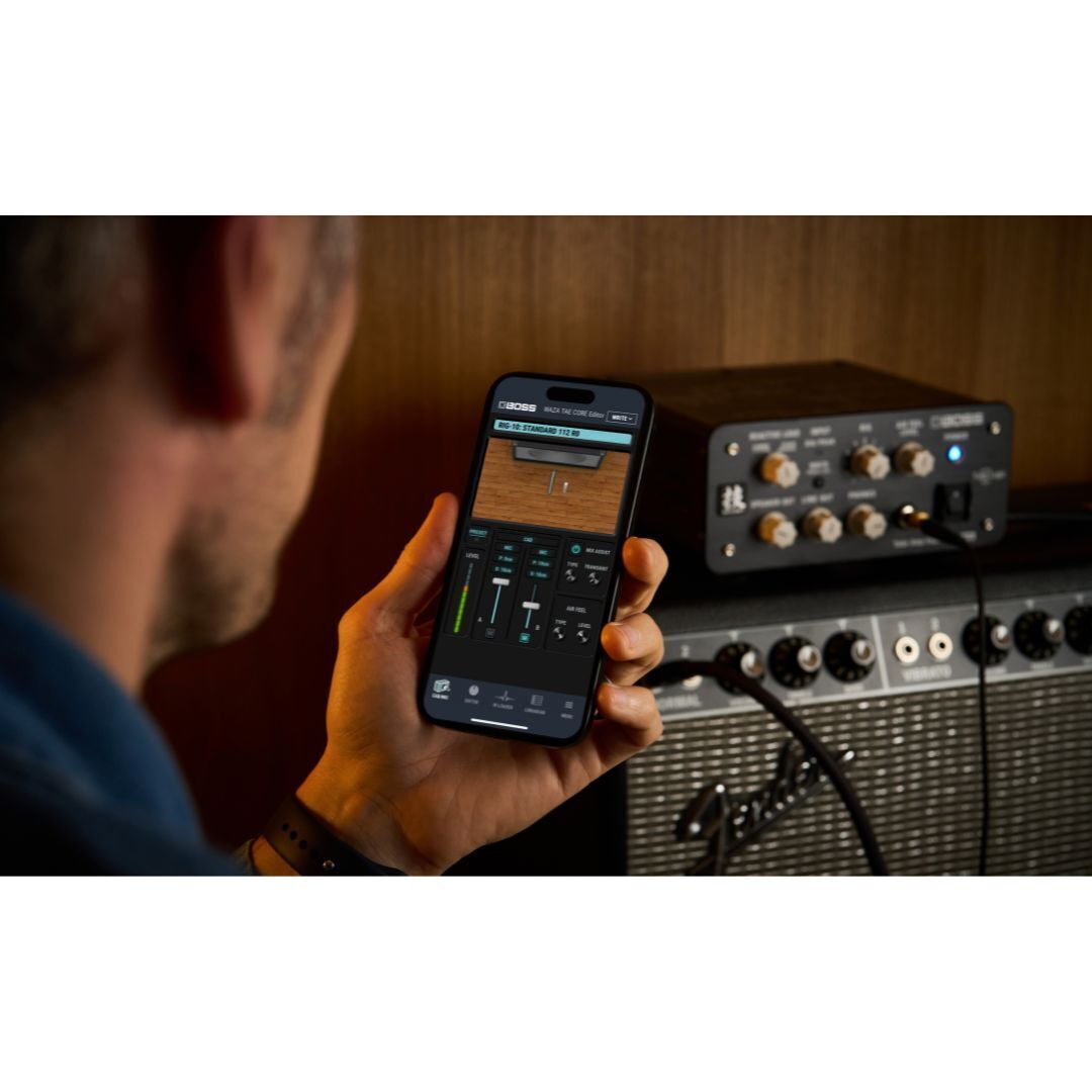 BOSS Waza Tube Amp Expander Core