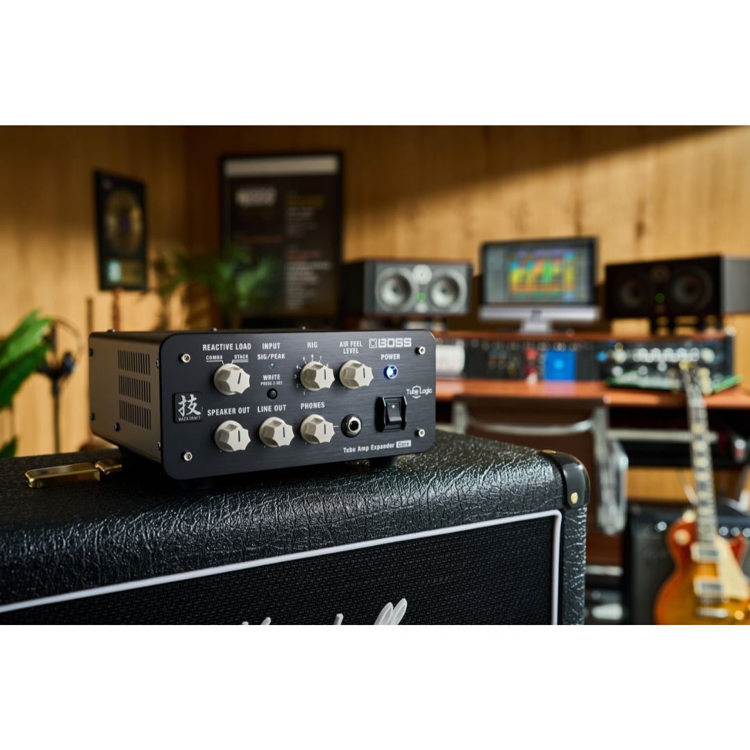 BOSS Waza Tube Amp Expander Core