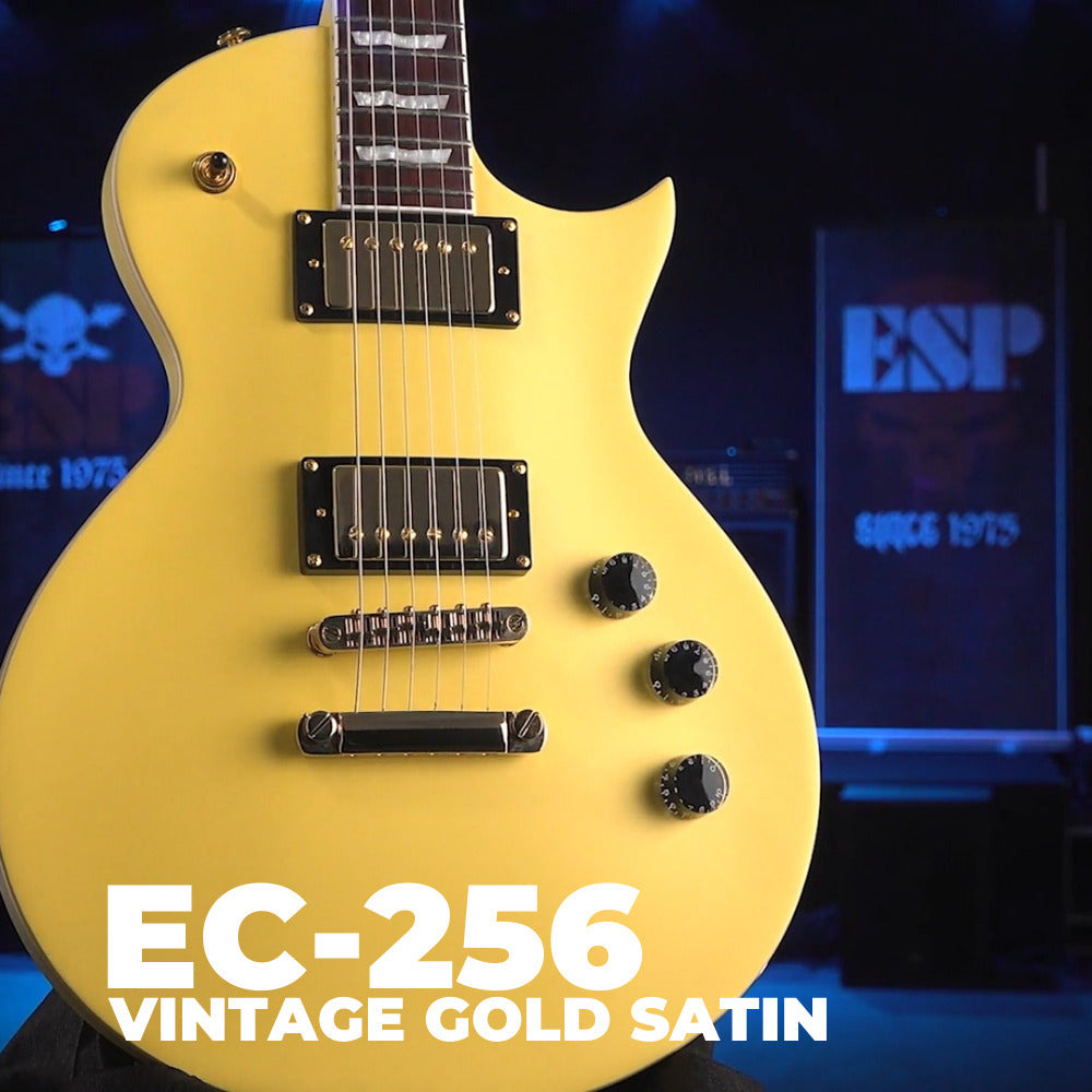 ESP LTD EC-256 Vintage Gold Satin Electric Guitar with Guitar Fit Case (2 Items)