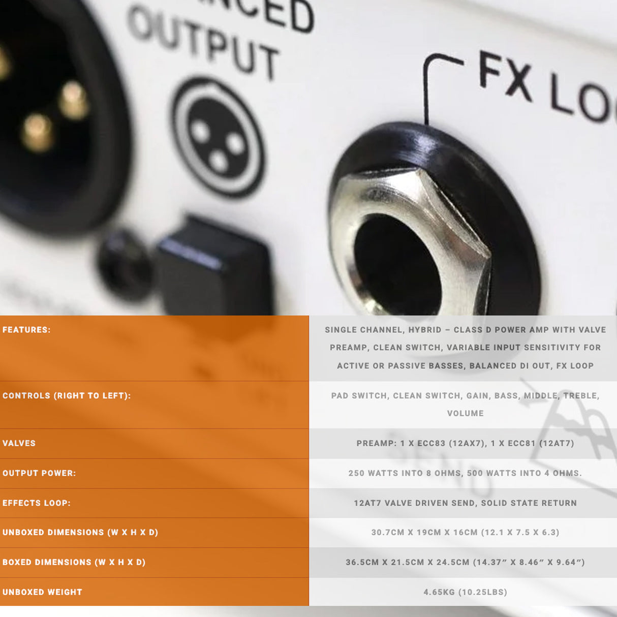 Orange Amps 500W Terror Bass Head Bass Amp with 10 Feet TS Guitar Cable Bundle