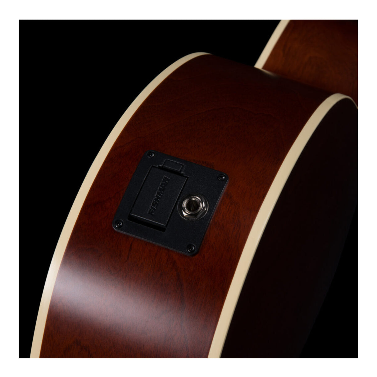 Seagull S12 CH Concert Hall Spruce Sunburst GT - 12-String with Presys II