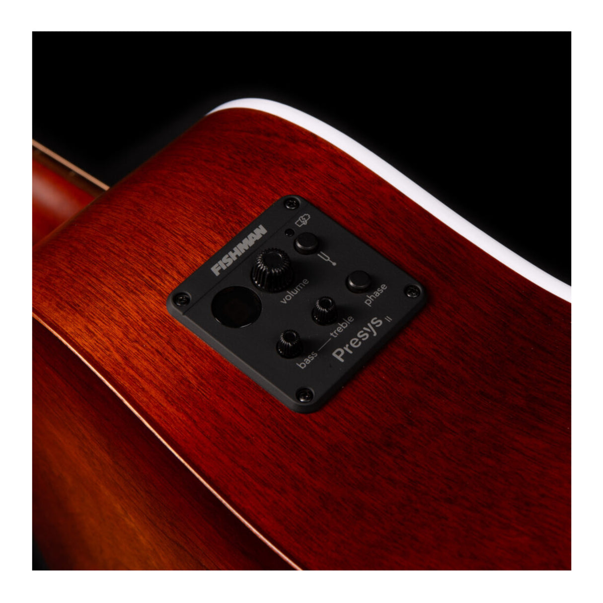 Seagull Entourage Right-Hand Acoustic Electric Guitar (Autumn Burst Presys II)