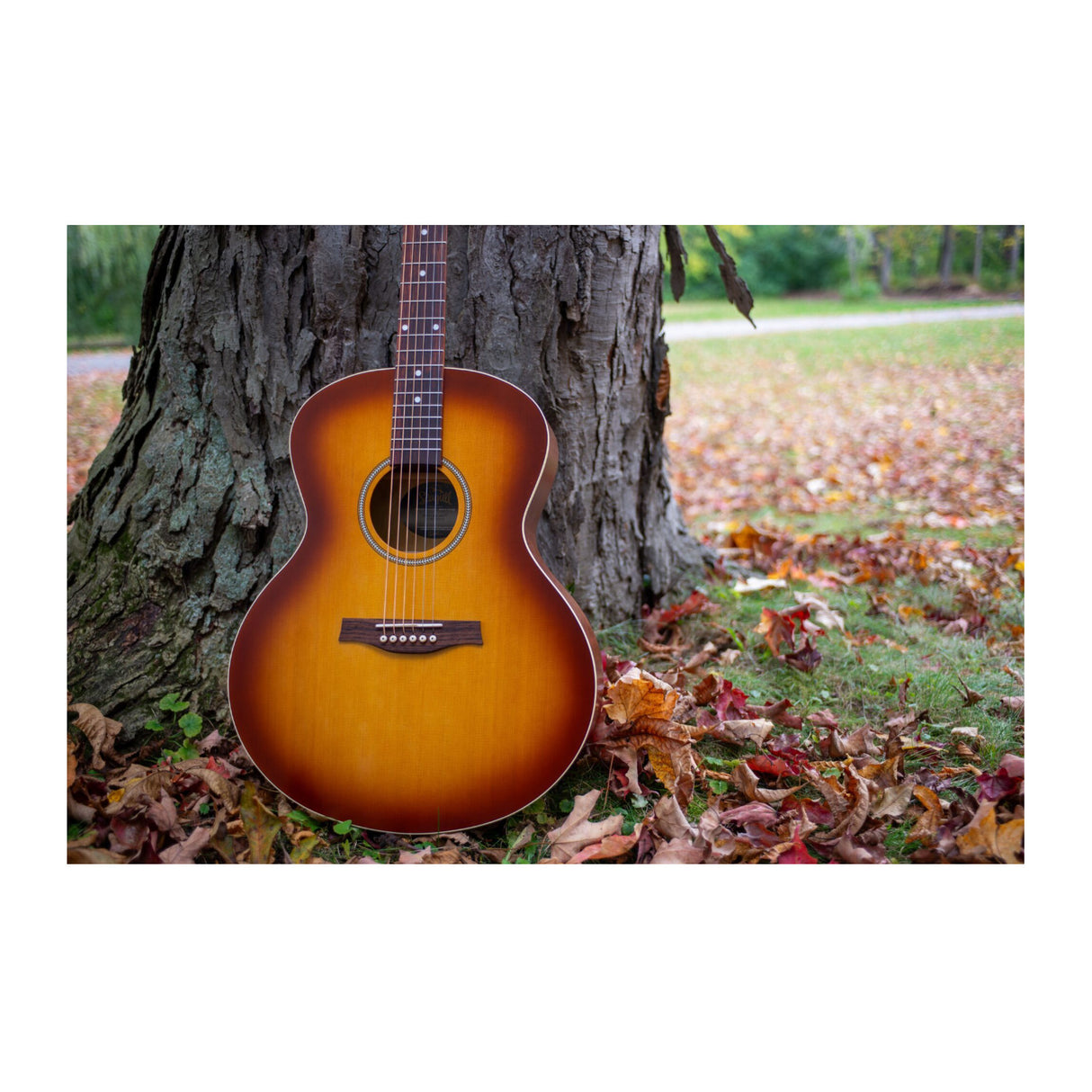Seagull 6-String Entourage Mini Jumbo Acoustic Guitar (Rustic Burst Semi Gloss)