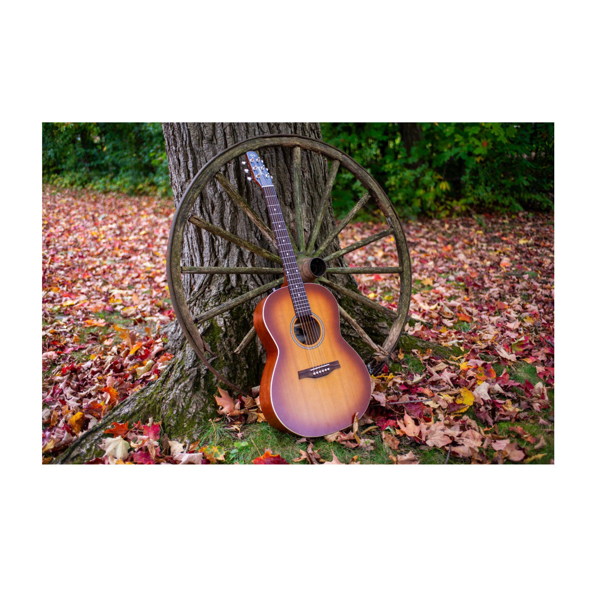 Seagull 6-String Entourage Folk Acoustic Guitar (Rustic Burst Semi Gloss)