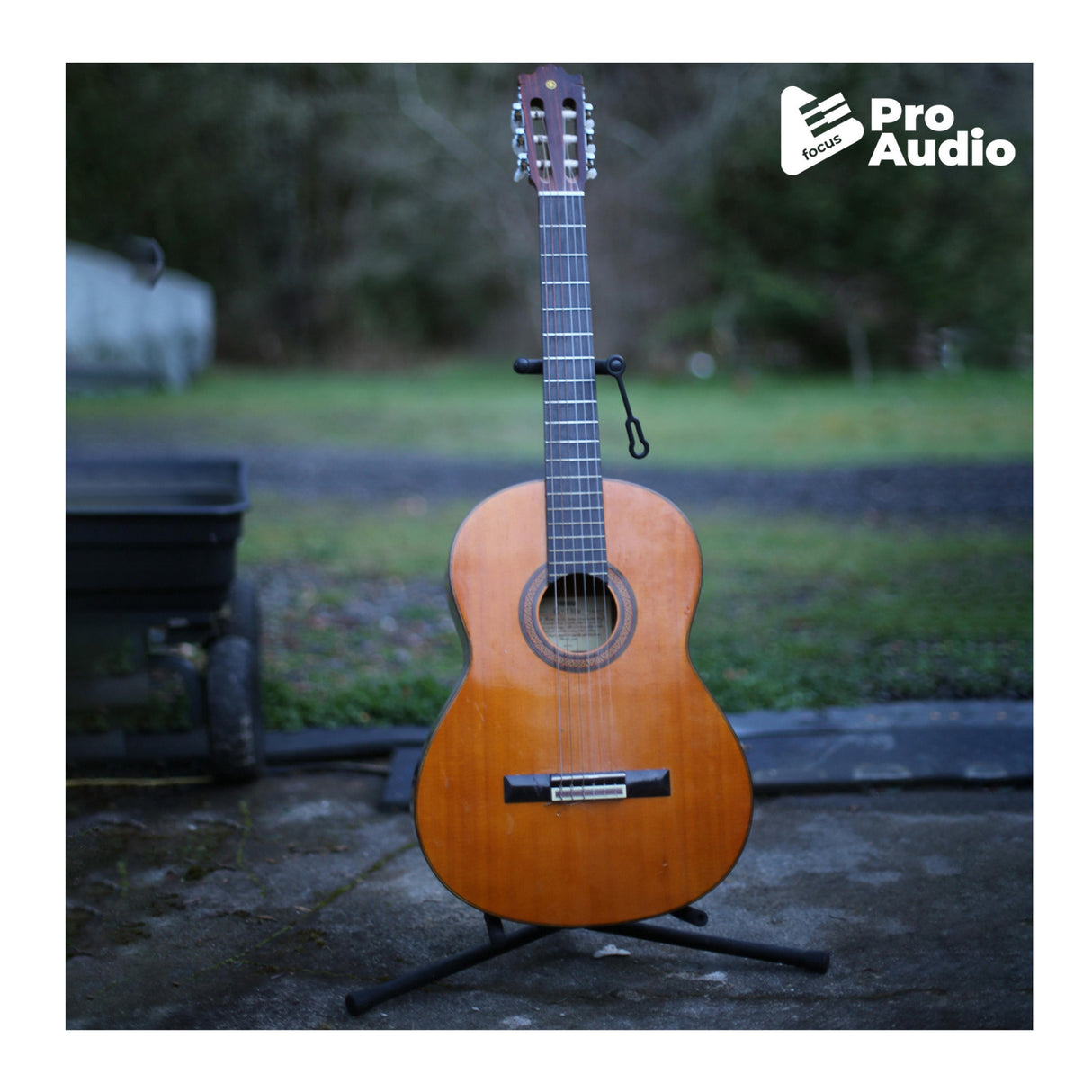 ESP LTD TE-201 Black Satin Guitar Bundle