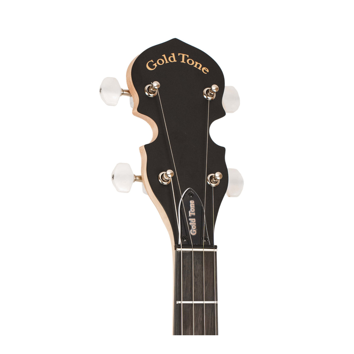 Gold Tone AC-5 w/bagAC-5: Acoustic Composite 5-String Banjo with Gig Bag