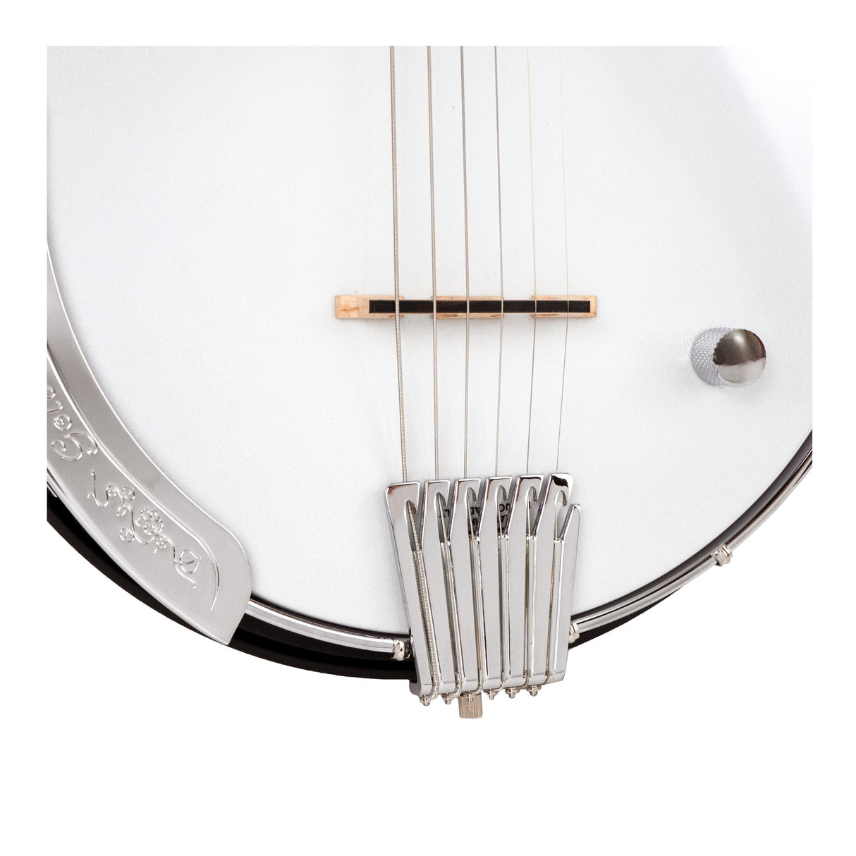 Gold Tone AC-6+: Acoustic Composite Banjitar with Pickup and Gig Bag